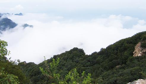 【江門2天品質(zhì)游】新會古兜溫泉、天然山泉水世界、陳